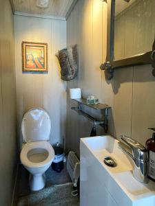Un baño de Secluded Mountain Cabin In Rauland With View
