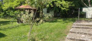 a small tree in the grass next to a house at The Byala Escape, Private Villa with Bar & Hot Tub in Byala