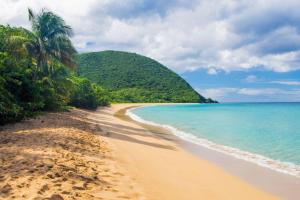 una playa con palmeras y el océano en VILLAS Lush Eden, en Vieux-Habitants