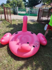 a pink inflatable pink elephant in the grass at The Byala Escape, Private Villa with Bar & Hot Tub in Byala