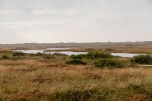 Un paisaje natural cerca de la casa vacacional