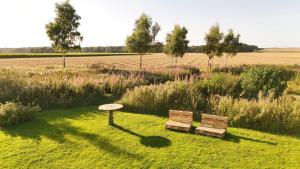 Garður fyrir utan Sea View, Nature Plot And Wellness At Karlby Klint