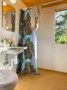ein Badezimmer mit Toilette und Duschvorhang in der Unterkunft Relaxing Archipelago Cottage Near Stockholm in Muskö