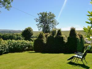a green bench sitting in the grass near a hedge at The Smithy in Brentor