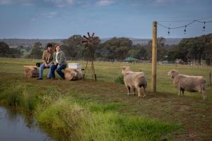 two people sitting on a log with sheep in a field at Banjos Cabin Gippsland - Luxury Eco Stay w King Bed & Pond Valley Views in Seaton
