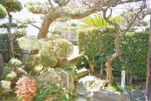 Giardino di Ocean View House Hannan 3rd