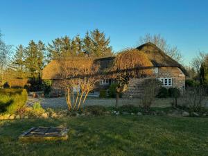 a house with a thatched roof with a garden at Historic Thatched House From 1750 In Husby in Ulfborg