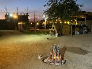 a group of fire pits in a field at night at Hostel con huerta en la montaña in San José del Cabo
