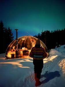 Glass Igloo With Panoramic Views In Åsbygda v zimě