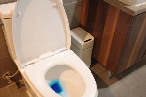 a bathroom with a toilet with blue water in it at Aewol Bada 24 in Jeju +27 photos