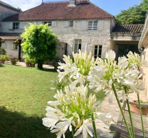a bunch of white flowers in front of a house at Stone Manor House In Quercy in Belvèze