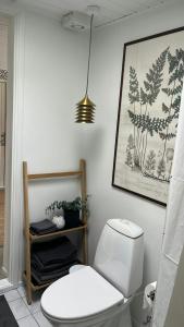 a bathroom with a toilet and a picture on the wall at Family Home By Scenic Coast In North Zealand in Vejby