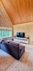 a living room with a couch and a tv at Cottage By The Stream In Southern Halland in Laholm