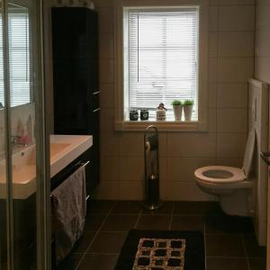 Ένα μπάνιο στο Cabin With Ski Inski Out In Rauland