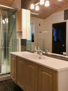 a bathroom with a sink and a shower at Lovely Cabin Amidst Bustling Wildlife in Vannareid