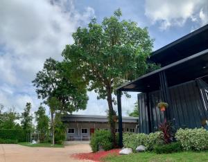 Zahrada ubytování โรงแรมอีสานอินน์ ยโสธร - Easarninn Yasothorn