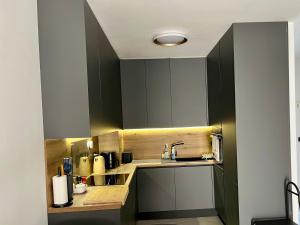 Kuchyň nebo kuchyňský kout v ubytování Apartament Slatine No 1