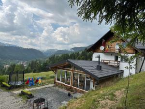 a house with a roof on top of a hill at Casa Teodora in Albac