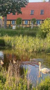 Foto dalla galleria di Holiday Apartment In Voderup On Ærø a Ærøskøbing