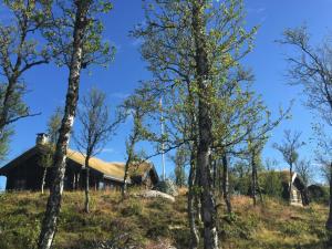Naturlandskabet i nærheden af feriehuset