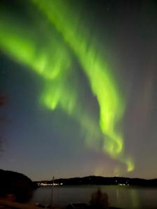 an aurora in the sky over a body of water at Architect-Designed Cabin With Beach Nearby in Lensvik
