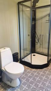 a bathroom with a toilet and a shower at Charming Seaside Cabin In Tingvoll in Tingvoll