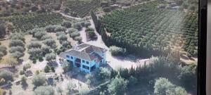 an aerial view of a house in a vineyard at Villa Pardalot Boutique Stays in Benicarló