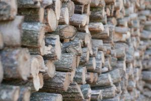 Fotografie z fotogalerie ubytování Apartments Cvitini Dvori Garjak v destinaci Vrlika