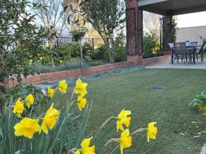 a bunch of yellow flowers in a yard at Lakeside Retreat Nagambie in Nagambie +23 photos