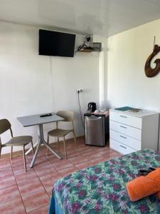 TV a/nebo společenská místnost v ubytování Manatini lodge