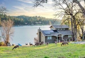 a group of animals grazing in front of a house at Lakefront Villa with 180 degree view private dock and boats in Groveland