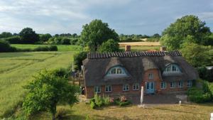 a house with a thatched roof in a field at Reetkate in der Natur in Hasselberg