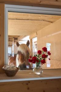 Επισκέπτες που μένουν στο B&B Margit's Ranch Urlaub am Pferdehof