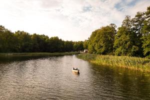 two people in a boat on a river at Mobilheim 3 in Lohmen