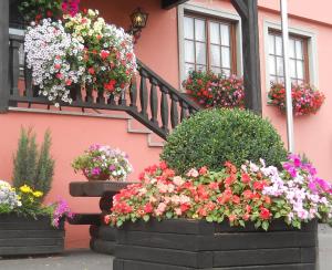 Zahrada ubytování Hotel Schwarzes Ross