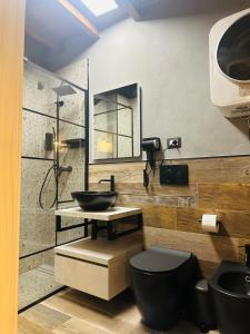 een badkamer met een wastafel en een toilet bij Veba Ferrara Antica in Ferrara