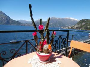 a plant in a red pot on a table next to the water at Casa sullo Sperone in Varenna