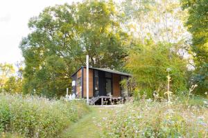Hill Creek Tiny House 3 by Tiny Away外面的花园