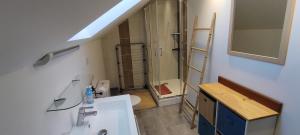 ein Badezimmer mit Waschbecken, Dusche und Toilette in der Unterkunft AU MENILOIS entre Montagne et Forêt in Cornimont