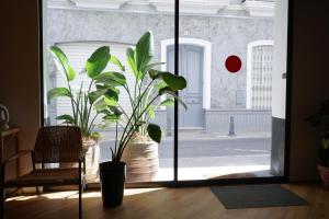 a room with two potted plants in front of a door at Sweet Sevilla Hostel in Seville