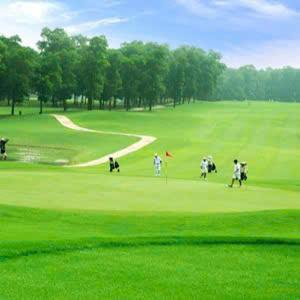 a group of people playing golf in a green field at Căn hộ c414 in Ấp Phú Tịnh (2)