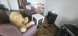 a living room with two chairs and a teddy bear at Homestay on the hill 2 in Gold Coast