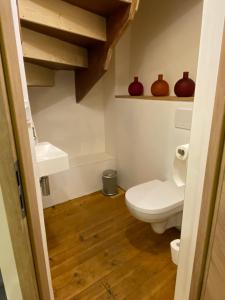 a bathroom with a toilet and shelves with vases at Maison Ventoux Vacances in Bédoin +11 photos