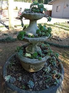 Imagen de la galería de Eagles Nest Bed & Breakfast, en Eshowe