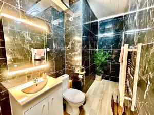 a bathroom with a toilet and a sink and a mirror at Le Vintage, centre, parking gratuit in Pont-sur-Yonne