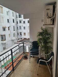 a balcony with two chairs and a plant on it at Alojamiento El Sevillano in Cullera