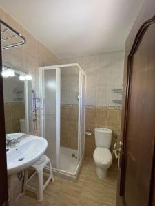 a bathroom with a shower and a toilet and a sink at Hostal rural en el Cañón del Río Lobos in Ucero