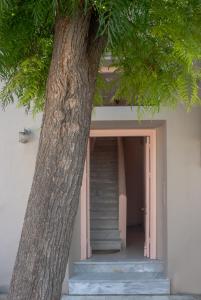 a stairway leading into a building next to a tree at Nina's apartment in Lixouri +16 photos