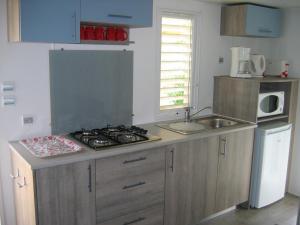 a kitchen with a stove and a sink and a microwave at Le mobilhome Chez Camille in Veynes