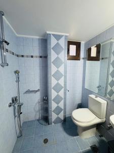 a bathroom with a toilet and a shower at Thea Dysis B in Areopolis